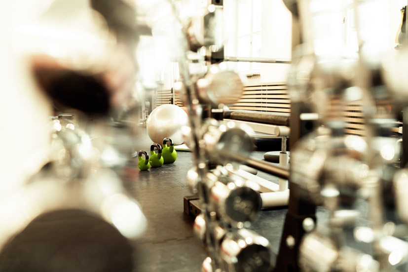 Dumbbells for physiotherapy GZM